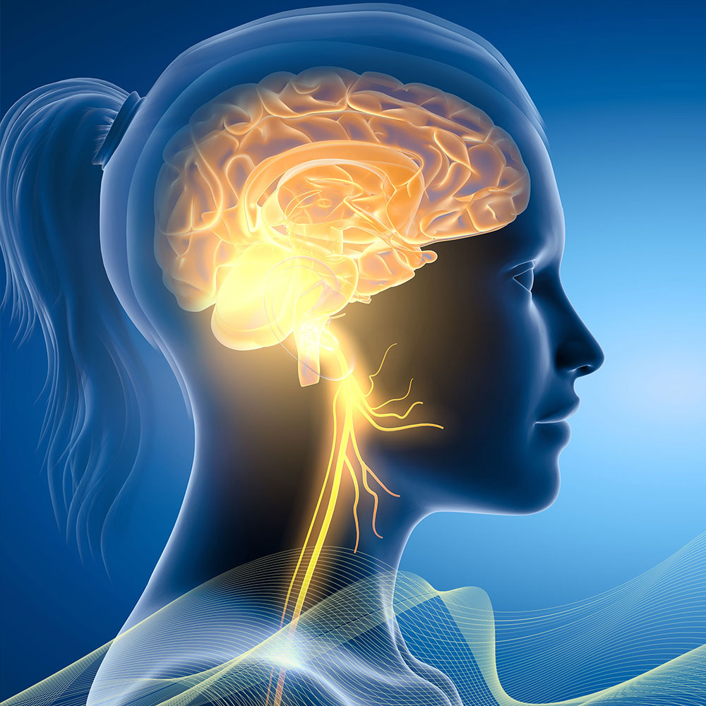 Hearing and memory: The link you can act on today